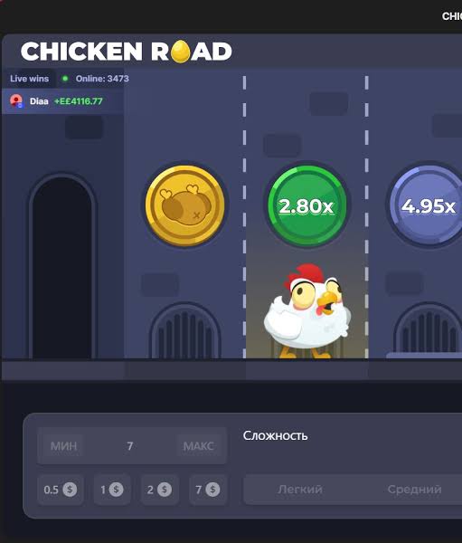 Chicken Road 2 Casino L'avventura nel mondo del gioco online Chicken Road 2 Casino L'avventura nel mondo del gioco online